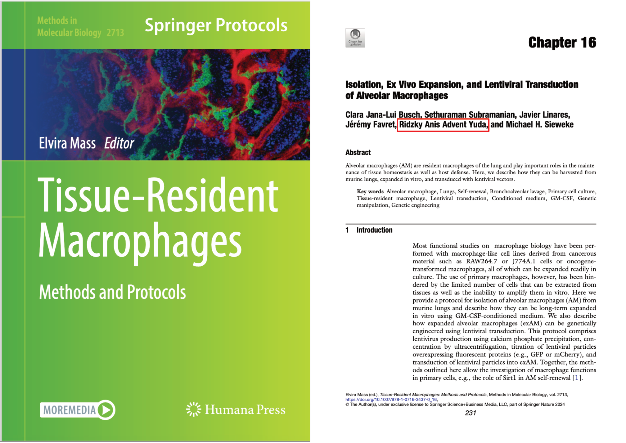Screenshot of Isolation, Ex Vivo Expansion, and Lentiviral Transduction of Alveolar Macrophages. In: Mass, E. (eds) Tissue-Resident Macrophages