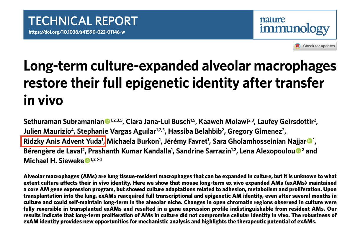 Screenshot of Long-term culture-expanded alveolar macrophages restore their full epigenetic identity after transfer in vivo